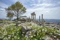 Trajan Temple columns in ancient city of Pergamon, Turkey Royalty Free Stock Photo