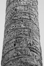 Trajans Column, Rome, Italy - details Royalty Free Stock Photo