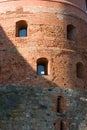 Trakai castle Royalty Free Stock Photo