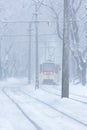 The tram goes on rails in the winter evening Royalty Free Stock Photo