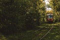 The tram line runs through dense forest thickets Royalty Free Stock Photo