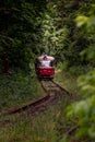 Tram line runs in the dense thickets of forest. Old red tram at the perspective distance. Tram goes through a tunnel in the forest