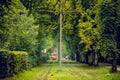 Tram line runs in the thickets of trees. Old red tram at the perspective distance. Royalty Free Stock Photo
