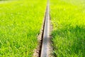 Tram rail with fresh green grass at sunny weather.