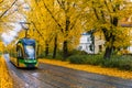 Tram Rides on the Rails Covered with Yellow Leaves in Autumn Day Along a City Street. Poland, Poznan, Solacz