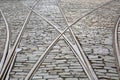 Tram Tracks on Cobble Stone