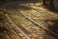 Tram tracks on stone-paved road at sunset. Old european street of Poznan, Poland in summer time. Tram rails at sunshine. Royalty Free Stock Photo