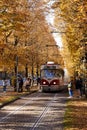 Tram under yellow trees in Prague, Czech republic, in October