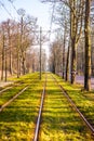 Tram ways crossing solar spring park in Hague Royalty Free Stock Photo