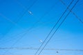 Tram wires against the blue sky Royalty Free Stock Photo