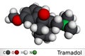 Tramadol molecule. It is synthetic psychotropic opioid analgesic, used for the therapy of severe pain. Molecular model. 3D