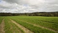 tramline in arable field in english countryside on cloudy day with hills on horizon