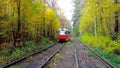 The tramline in lush autumn forent, Ukraine
