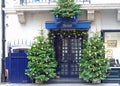 Tramp Nightclub with christmas trees on either side of the blue door