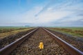 Tramp Teddy Bear sitting on the rail, perspective view. The concept of travel, safety, loneliness, refugee or child care Royalty Free Stock Photo