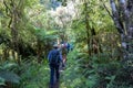 Trampers in single flies walking through lush green rain forest of Hollyford Track Royalty Free Stock Photo