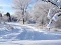 Trampled Path Through a Snow-Covered Lawn Leading to the Enchanting Forest.