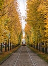 Trams and Trees in Prague Royalty Free Stock Photo