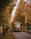 Trams and Trees in Prague Royalty Free Stock Photo