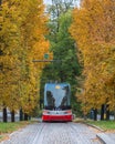 Trams and Trees in Prague Royalty Free Stock Photo