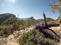 Tramuntana mountain range landscape , Mallorca, or Majorca, Balearic Islands, Spain, Europe Royalty Free Stock Photo
