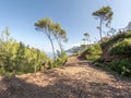 Tramuntana mountain range landscape , Mallorca, or Majorca, Balearic Islands, Spain, Europe Royalty Free Stock Photo