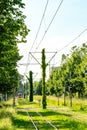 Tramway in Freiburg im Breisgau