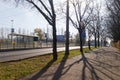 Tramway stop and a tree lined sidewalk Royalty Free Stock Photo