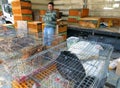 A local man selling hens, chicks, ducks, roosters and geese at the poultry market