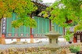 Korea Tranditional Buddhist Temple Royalty Free Stock Photo