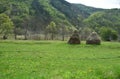 Tranditional hay piles in the mountain Royalty Free Stock Photo