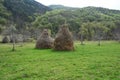 Tranditional hay piles in the mountain Royalty Free Stock Photo