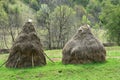 Tranditional hay piles in the mountain Royalty Free Stock Photo