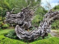 Trang-Thailand. October 7,2022 : A wood carving of a dragon. Made from \'Safrol laurel\' wood