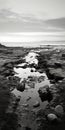 Tranquil Aerial Black And White Photography Of Meadow And Water At Winter Beach