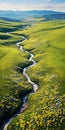 Tranquil Aerial Photography: Flowerfilled Field In Mongolia