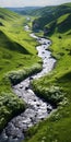 Tranquil Aerial View Of Endless Green Ravine With Vibrant Wild Flowers Royalty Free Stock Photo