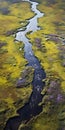 Tranquil Aerial View Of Flowery Marshes: A Still Life Photography