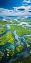 Tranquil Aerial View Of Vibrant Marshlands And Wildflowers