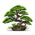 Tranquil Artistry: Beautiful Bonsai Tree Isolated on White Background. Generative ai