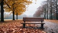 Tranquil autumn bench, yellow leaf, nature beauty generated by AI