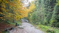 Tranquil autumn footpath along the stream through forest