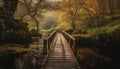 Tranquil autumn forest, footpath leads to bridge generated by AI