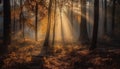 Tranquil autumn forest, mysterious beauty in nature, spooky coniferous tree generated by AI