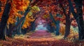 Tranquil autumn forest path maple trees, fallen leaves, dappled shadows creating serene ambiance Royalty Free Stock Photo