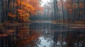 Tranquil autumn forest pond with reflections of trees and leaves Royalty Free Stock Photo