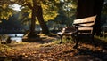 Tranquil autumn forest, yellow leaves, sunlight, bench, relaxation, grass generated by AI Royalty Free Stock Photo