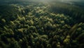 Tranquil autumn meadow, high up in mountain range, captured aerially generated by AI Royalty Free Stock Photo