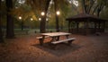 A tranquil autumn night, sitting on a wooden bench outdoors generated by AI Royalty Free Stock Photo