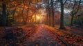 Tranquil autumn park path with vibrant leaves and benches under soft sunset illumination Royalty Free Stock Photo